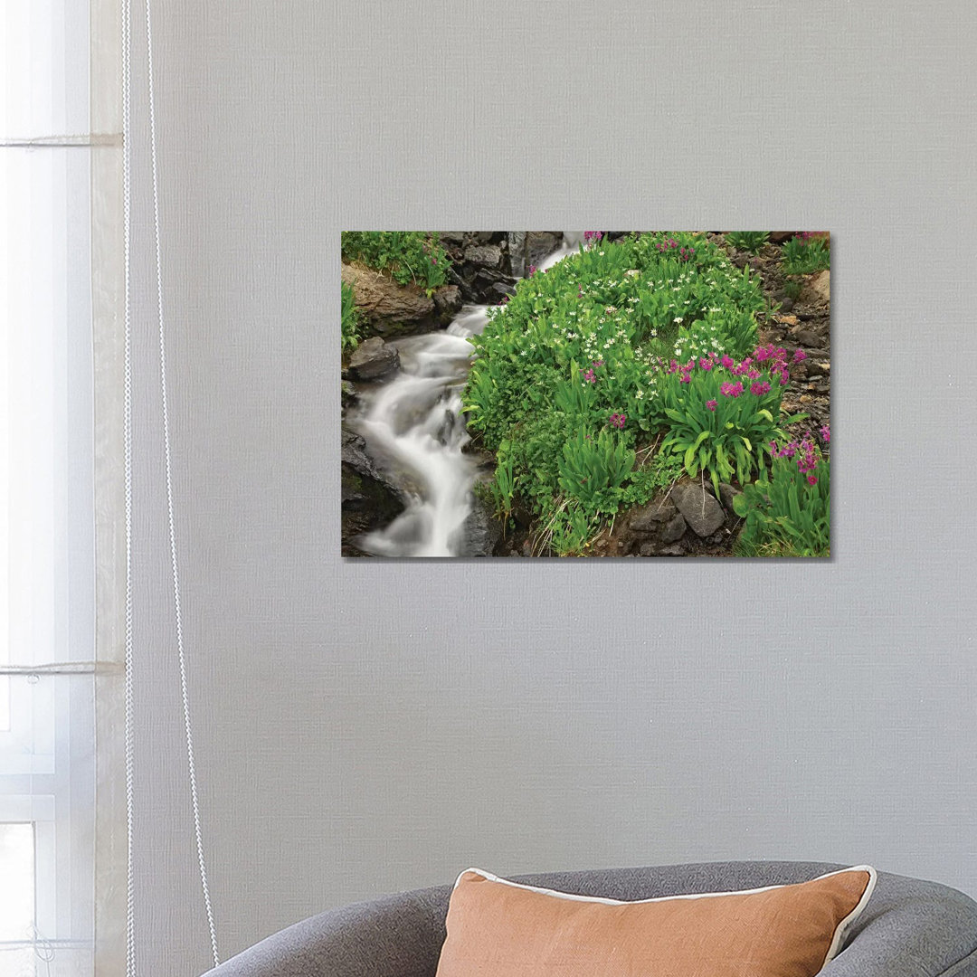 Porphyry Creek Near Silverton, Colorado II von Tim Fitzharris - Galerie-verpackte Leinwand Giclée auf Leinwand