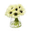 Ranunculus in Vase