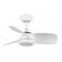 Jareem 28'' Ceiling Fan with LED Lights
