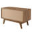 Render 1 Door Accent Cabinet