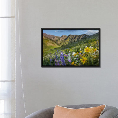 «Larkspur and Sunflowers, Albion Basin, Wasatch Range, Utah», reproduction de photo sur toile