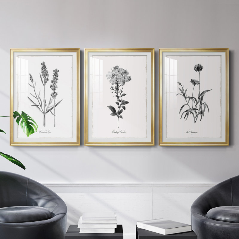 Simply Imperial - Ensemble de 3 reproductions de cadres photo, Doré, H 30,5 po x l 127,5 po x P 1,5 po