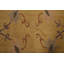 Tapis népalais en laine noué à la main 9 x 12
