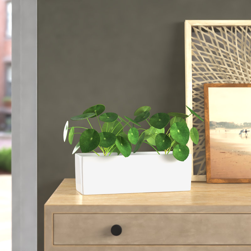 Caraway Ceramic Pot Planter