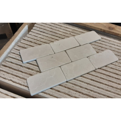 3" x 6" Marble Marble Look Wall & Floor Tile