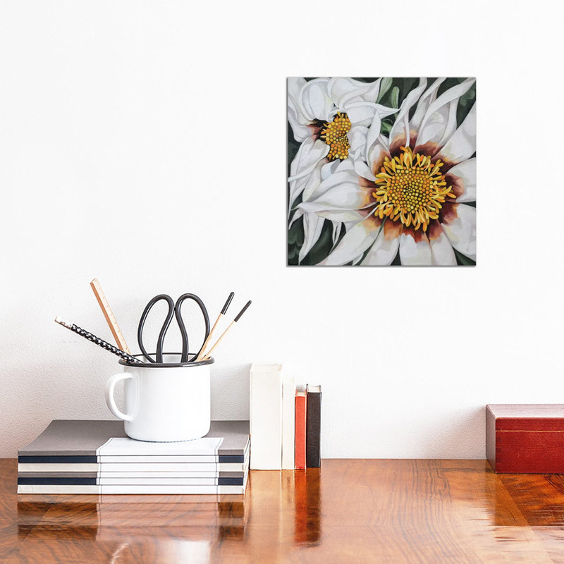 Gazanias by Jo Beer - Wrapped Canvas Print, 30.48 cm H x 30.48 cm W