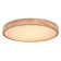 Meleze Plastic LED Flush Mount