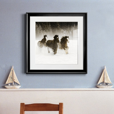 " Winter Roundup II "