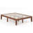 Pastora Bed-1794983880