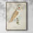 Barn Owl Framed Print - Solid Wood