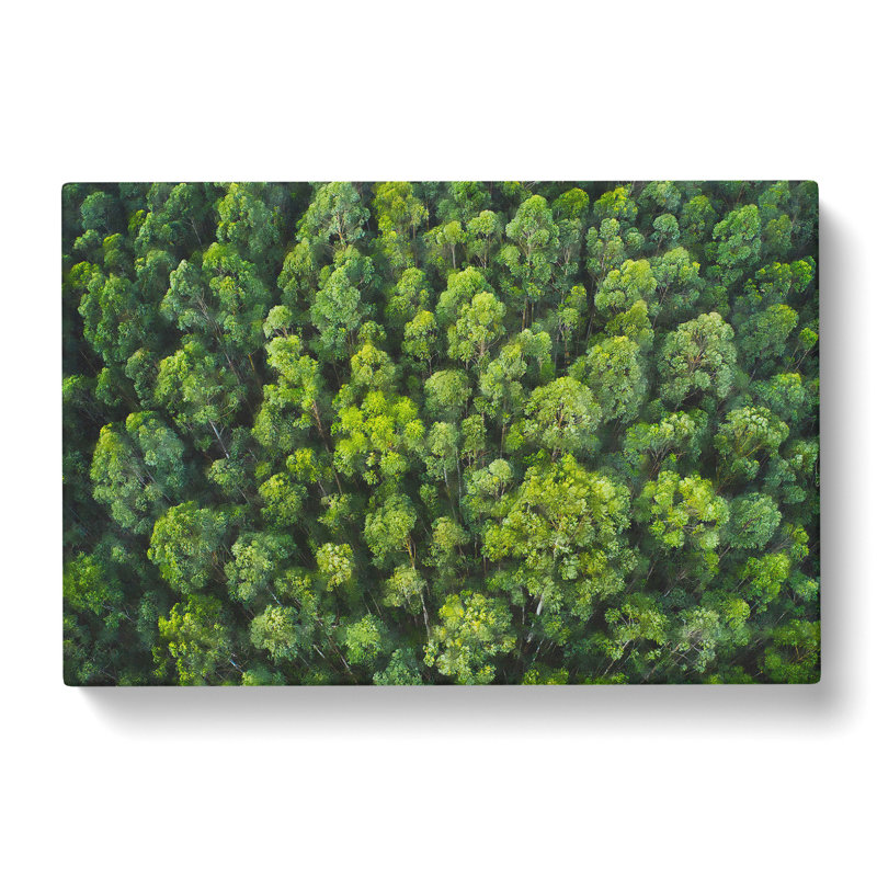 Green Tree Tops Painting - Wrapped Canvas, 40cm H x 60cm W x 3cm D