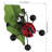 Pot Hugger Set/3 - Ladybug