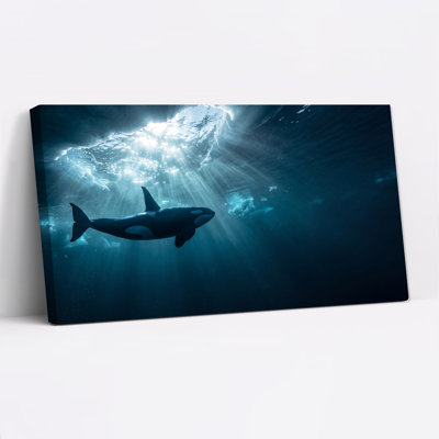 Orca Swimming Under Sunlit Ice Surface Canvas Wall Art