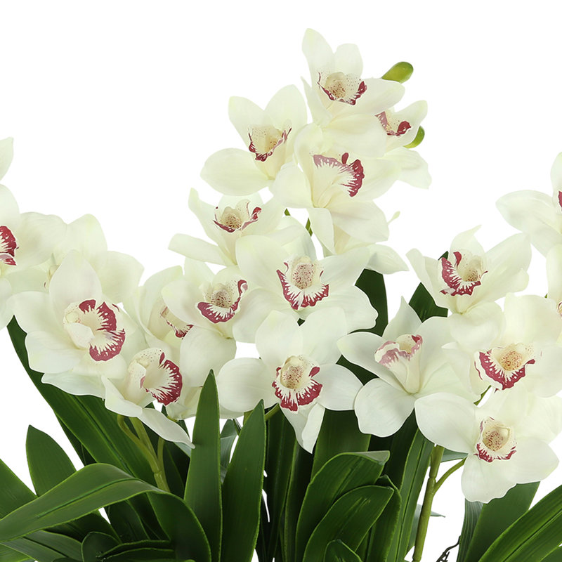 Faux Orchids in Glass Vase with Moss
