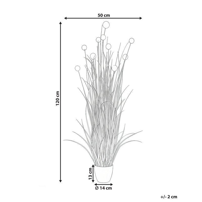 120cm Plant