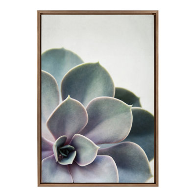 Succulent 5 by Emiko and Mark Franzen F2Images Framed Canvas Wall Art Print