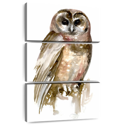 Chouette aquarelle Brampt II