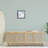 Pastel Blue Sand Dollar Seashell-1157982143-1157982138