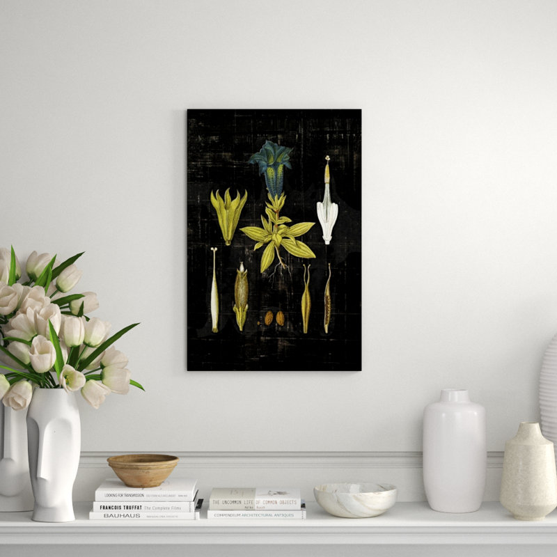 Botanical Study I Print by Michelle Bennett, 30" H x 20" W, Glass Coat