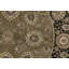 Manchuria Wool Oriental Area Rug in Brown/Black