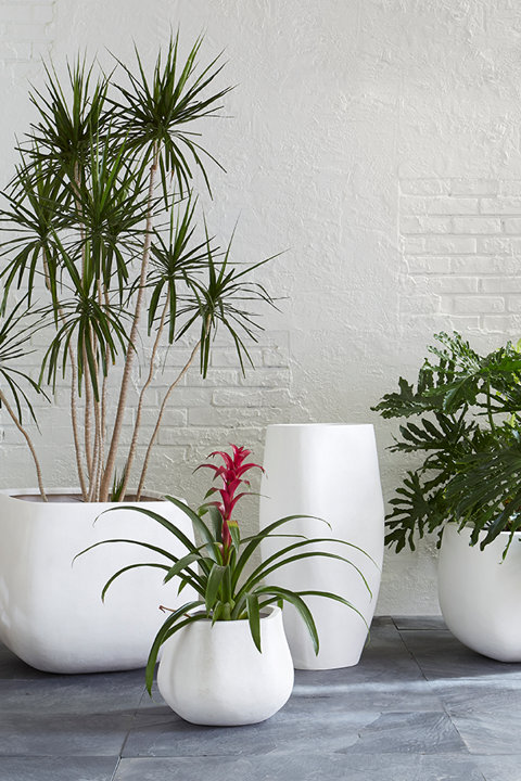 Planters