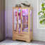 Vitrine lumineuse en verre avec tablettes réglables - 2 portes, 1 tiroir, lumières DEL, finition chêne clair élégant