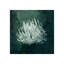 Marine Collection III Print by GI Lab-26945465-26945466