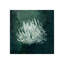 Marine Collection III Print by GI Lab-26945467-26945470
