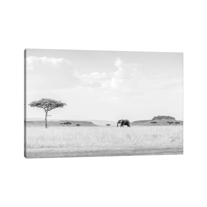 High Key Savannah by Jaco Marx - Print on Canvas, 45.72cm H x 66.04cm W x 3.81cm D, Wrapped Canvas