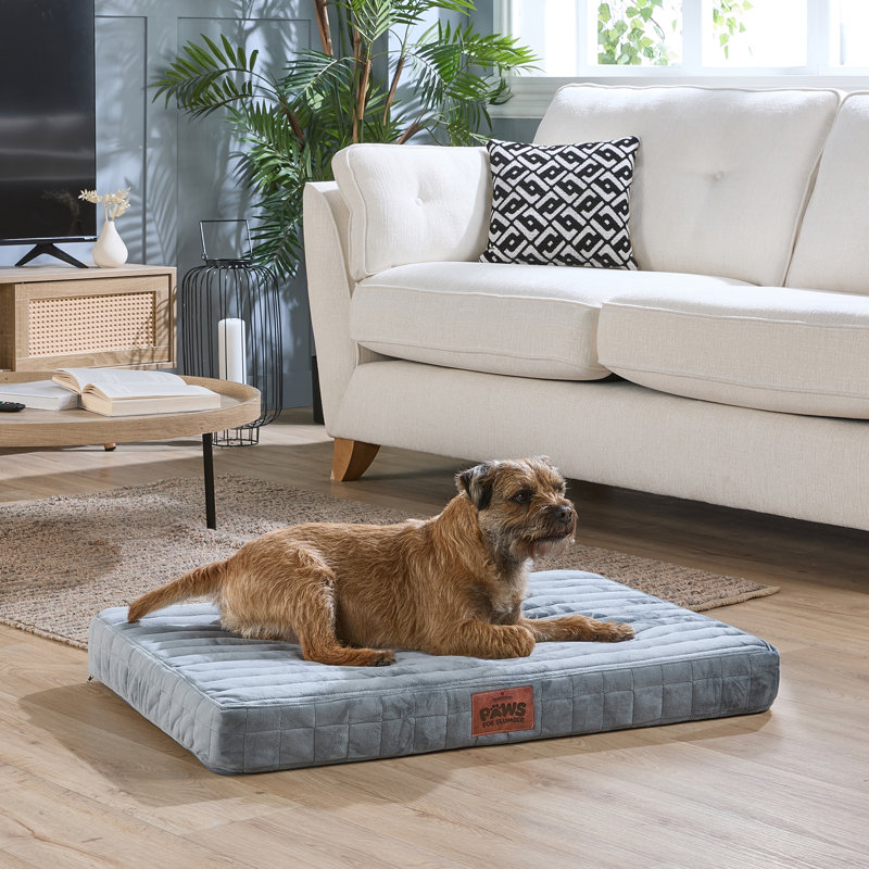 Slumberdown Orthopaedic Firm Support Crate Mattress Pet Bed, Grey, 60cm H x 50cm W x 9cm D