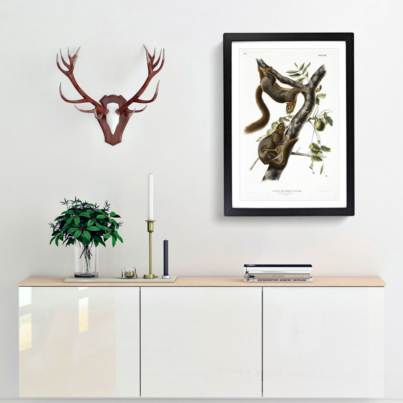 Orange-Bellied Squirrels by J.W. Audubon - Picture Frame Painting Print, Black Framed, 87cm H x 62cm W x 2cm D