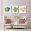 «Succulent Cameo IX», ensemble de 3 toiles tendues-1341274273