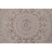 Traditional Oriental Area Rug 7x10