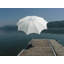 240cm Market Parasol-15904775