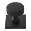 Parkview Brass Knob Backplate-1724081513