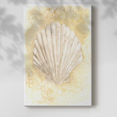 Salty Seashell II -Gallery Wrapped Cavas