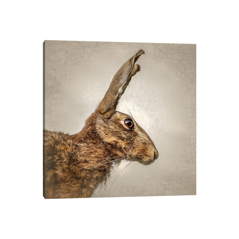 Hare by Mark Gemmell - Wrapped Canvas Print, 93.98 cm H x 93.98 cm W x 1.91 cm D