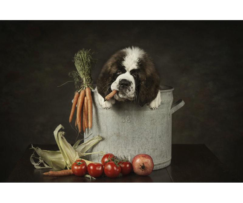 Wrapped Canvas Print, 50.8 cm H x 76.2 cm W