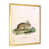Gold Picture Frame