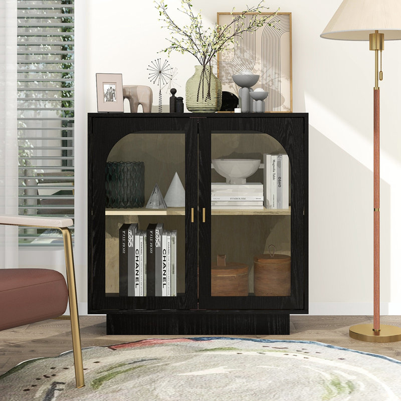 Storage Cabinet with 2 Acrylic Door, Black