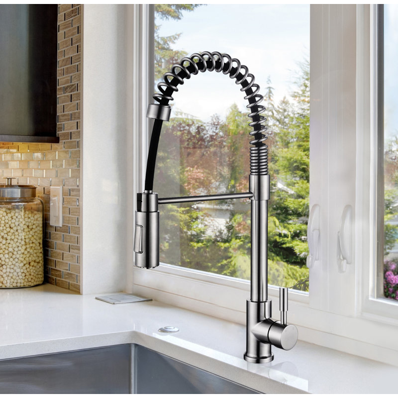 RAEN Orchid Pull Out Kitchen Faucet