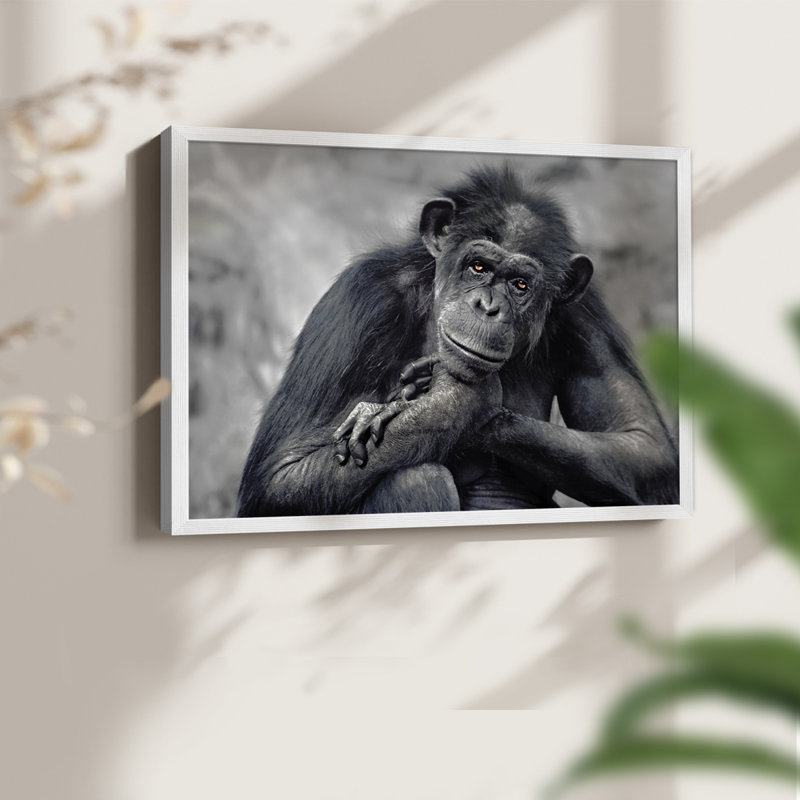 Captivated -Framed Print - Restickable, 11" H x 14" W, White
