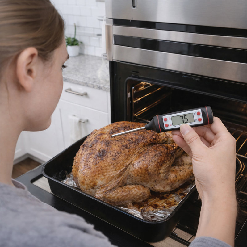 Digital Meat BBQ Thermometer
