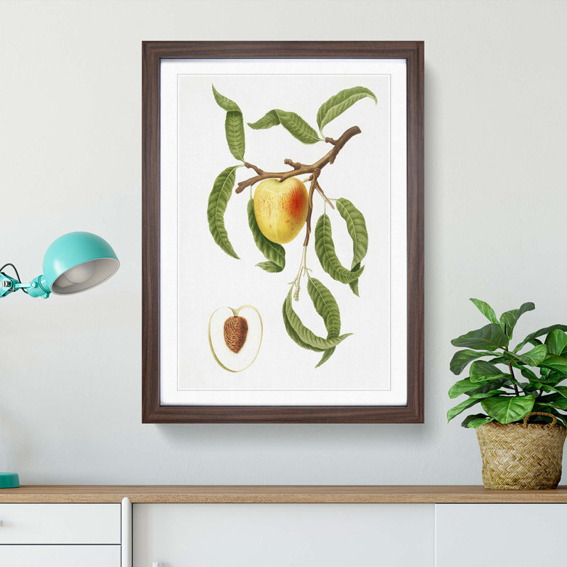 An Illustration of a Peach Tree 1 Piece Single Picture Frame Painting, 63cm H x 45cm W x 2cm D, Walnut Framed