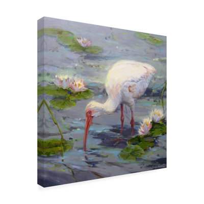 Sandy Nelson Ibis And Lilies Canvas Art