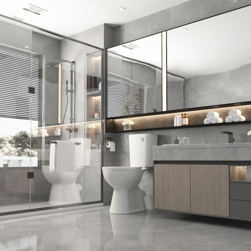 19＂Rear Outlet Toilet| Dual-Flush Round Two-Piece Toilet