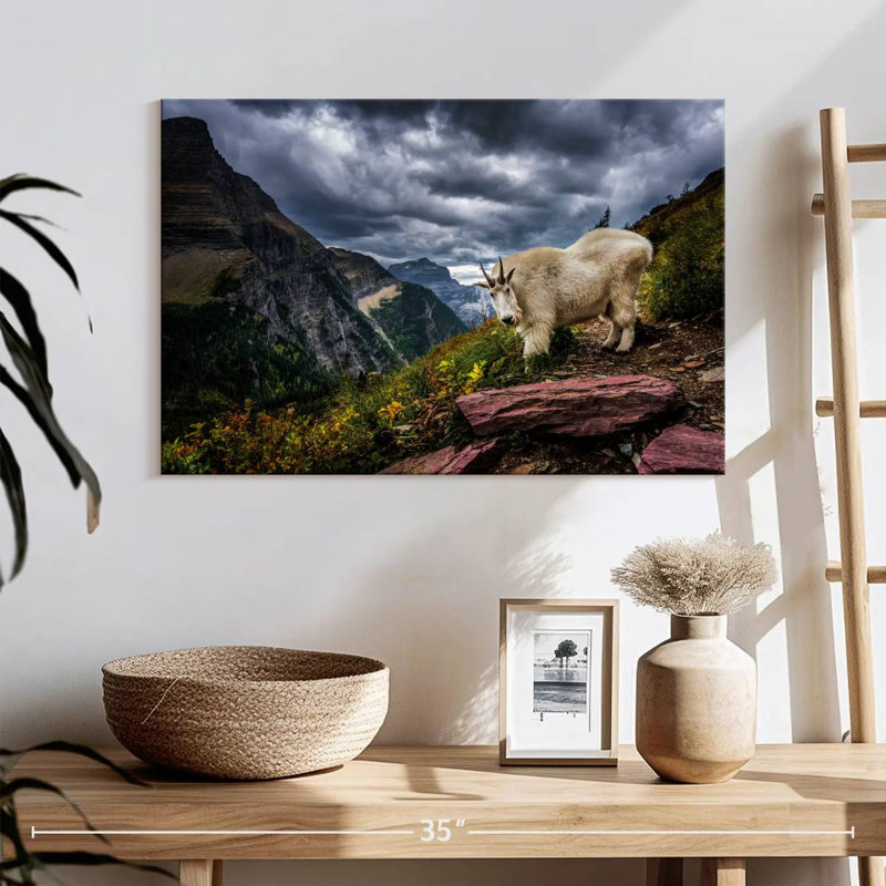 Brampt Rocky Mountain Goat, 16" H x 24" W