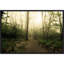 «Appalachian Trail» par Andy Magee, reproduction sur toile-1825857321