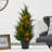 18in. Cedar Artificial Tree with LED Lights UV Resistant (Indoor/Outdoor)