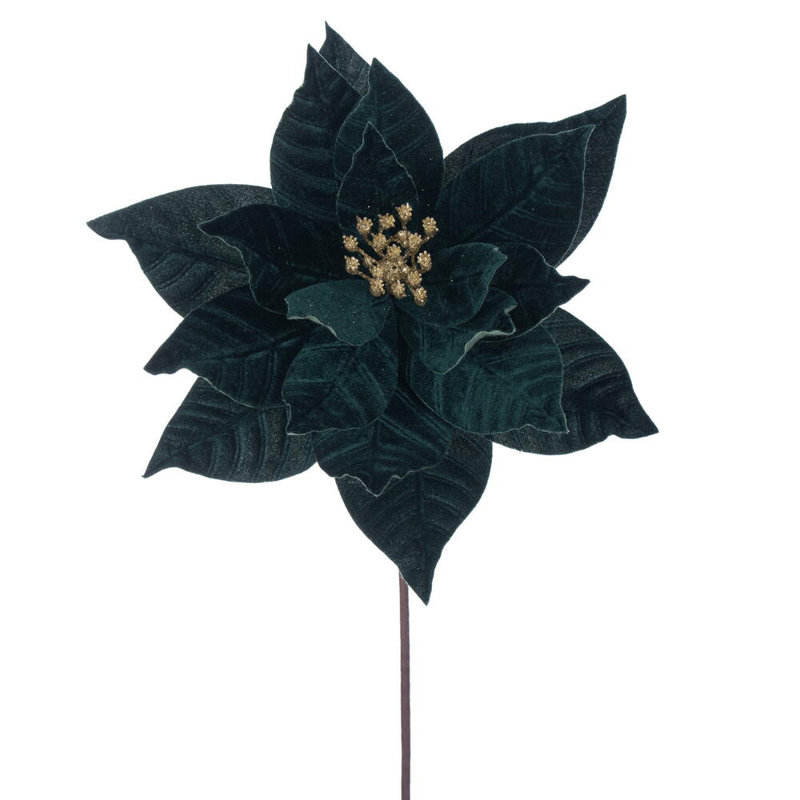 Tiges de poinsettia, Vert minuit